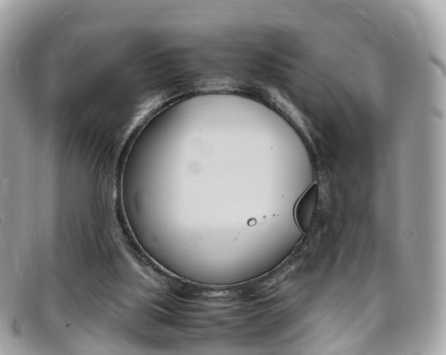 X0000095910059200801110837