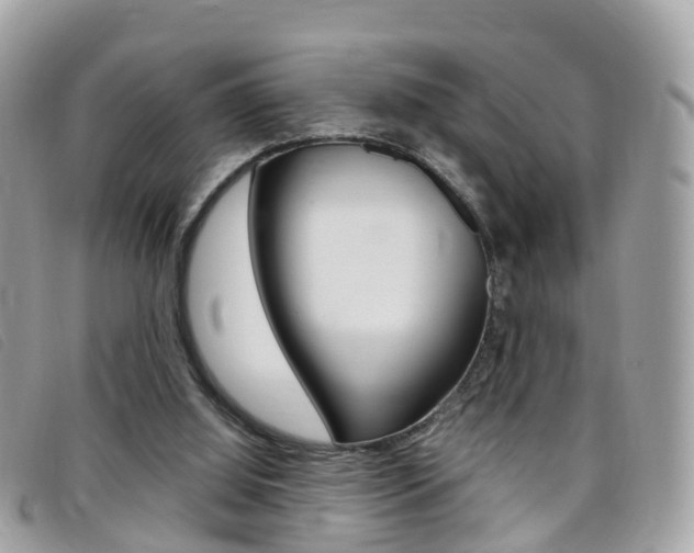 X0000095910060200801110837