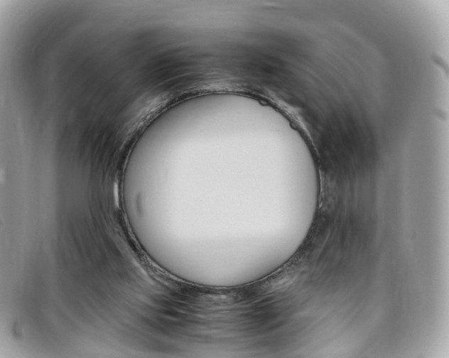 X0000095910061200801110837