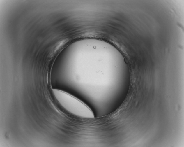 X0000095910062200801110837