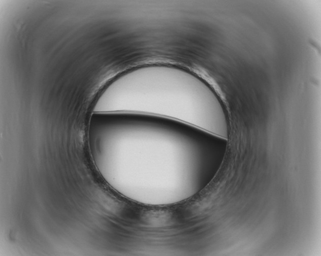 X0000095910063200801110837