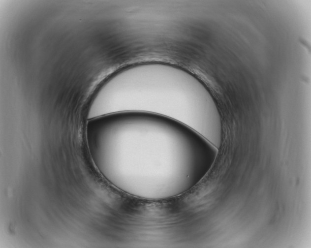 X0000095910064200801110837