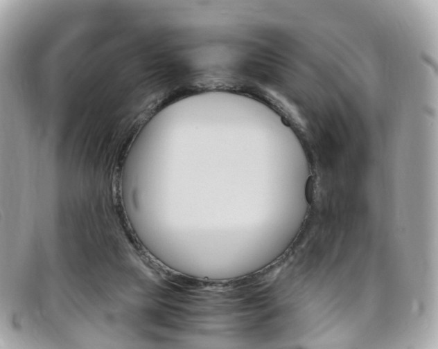 X0000095910065200801110837