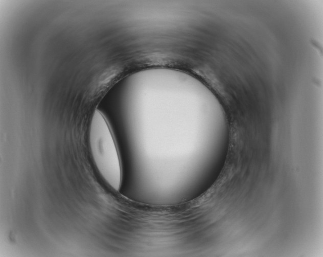 X0000095910066200801110837