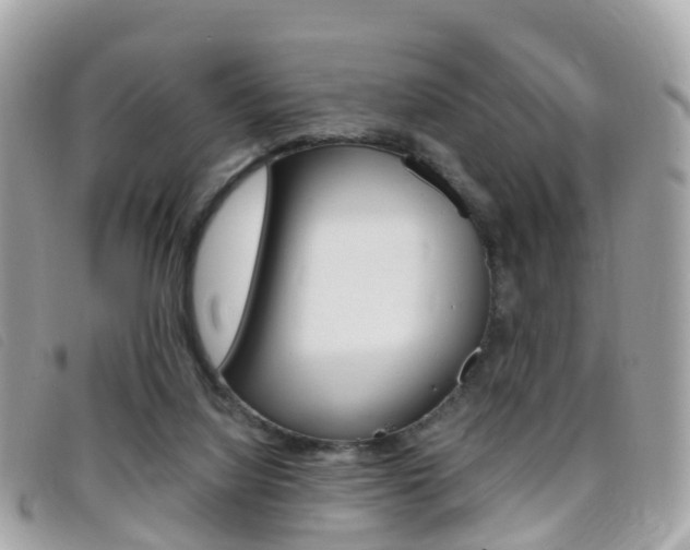 X0000095910068200801110837