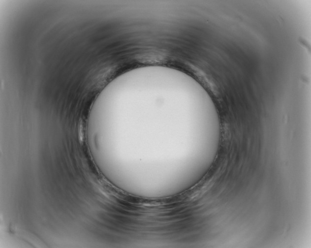 X0000095910069200801110837