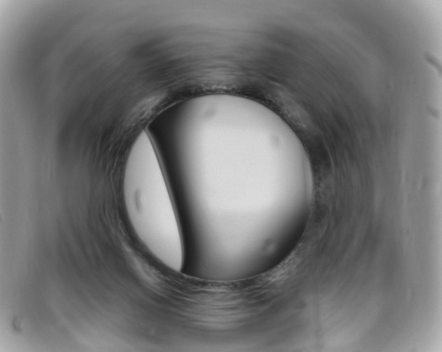 X0000095910070200801110837