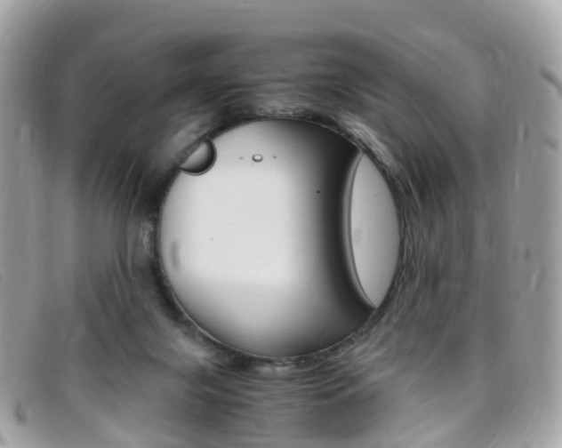 X0000095910071200801110837