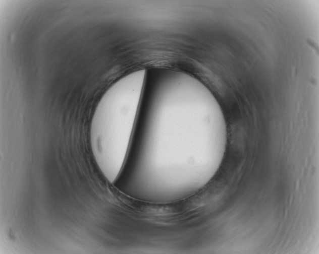 X0000095910073200801110837