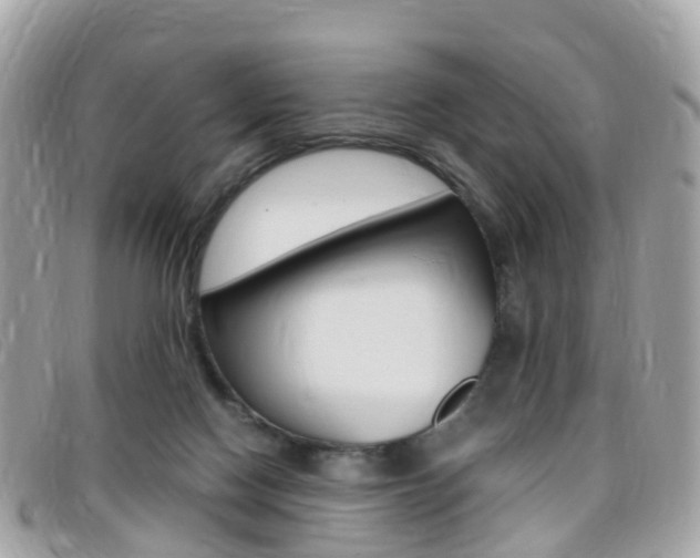 X0000095910074200801110837