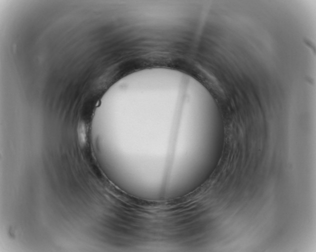 X0000095910075200801110837