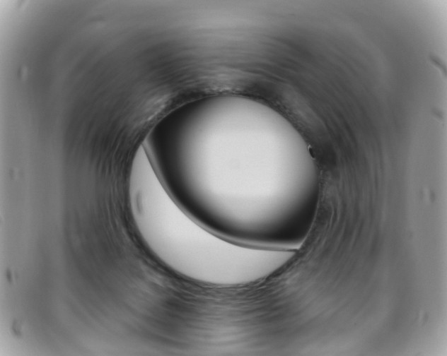 X0000095910076200801110837
