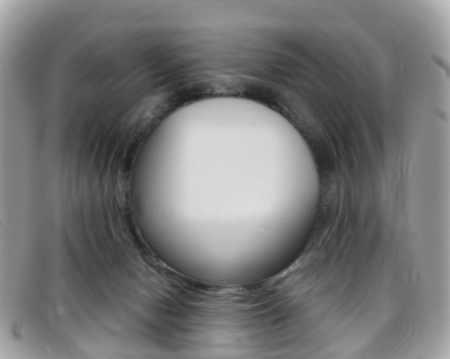 X0000095910078200801110837
