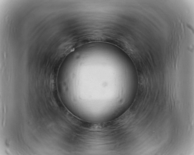 X0000095910080200801110837