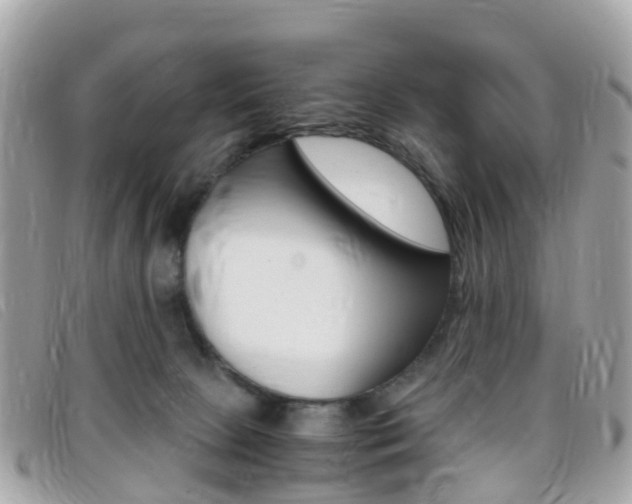 X0000095910081200801110837