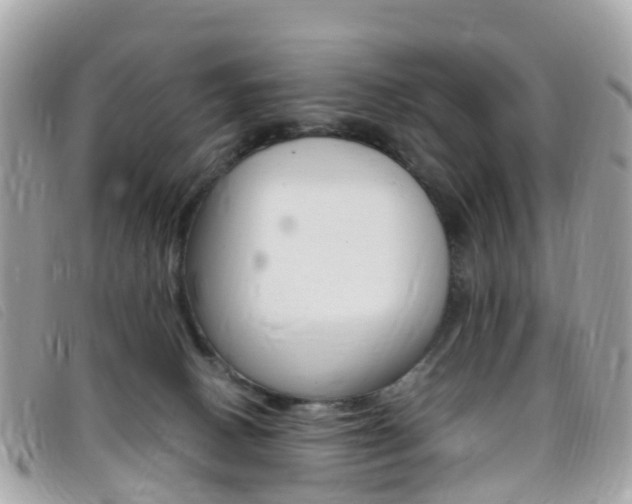 X0000095910082200801110837