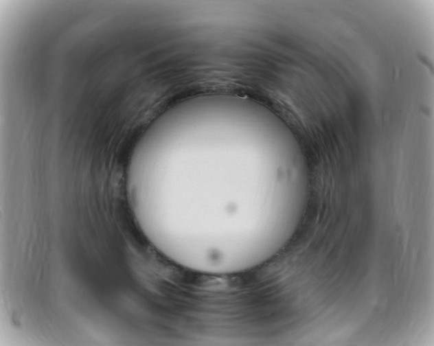 X0000095910083200801110837