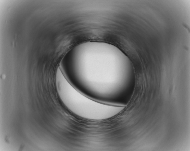 X0000095910084200801110837