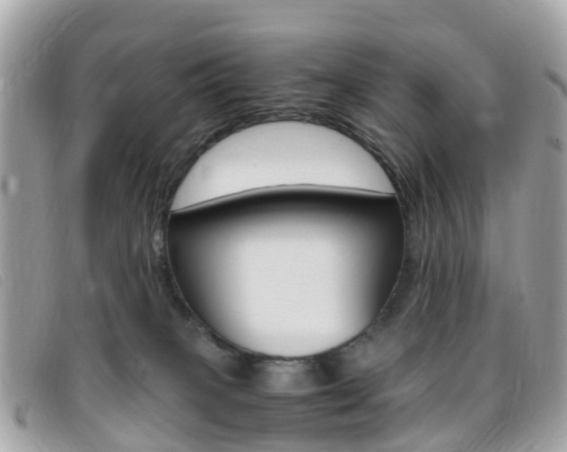 X0000095910085200801110837