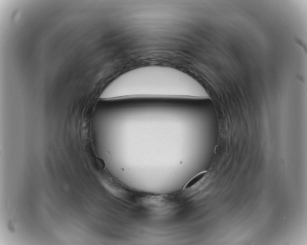 X0000095910086200801110837