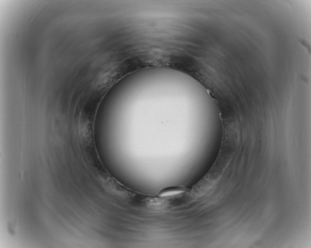 X0000095910088200801110837