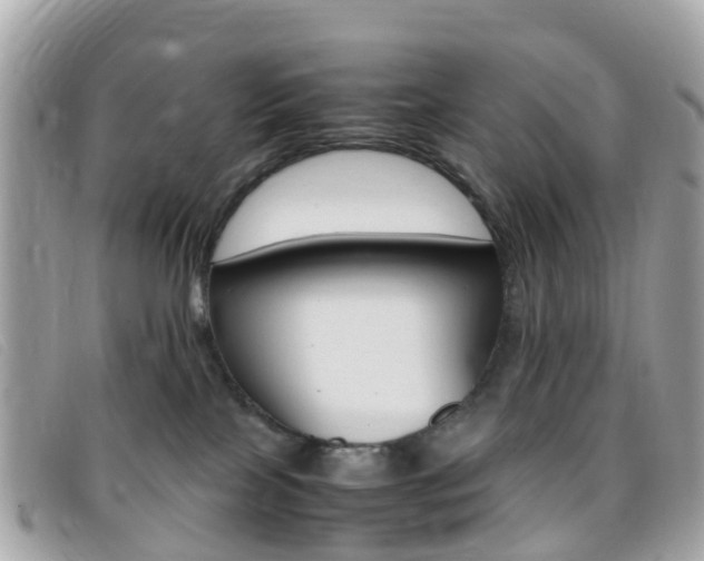X0000095910089200801110837