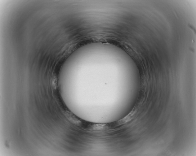 X0000095910090200801110837
