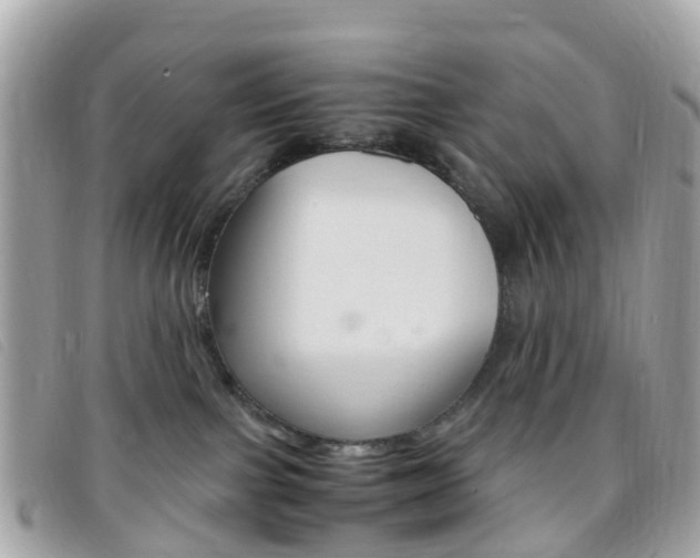 X0000095910091200801110837