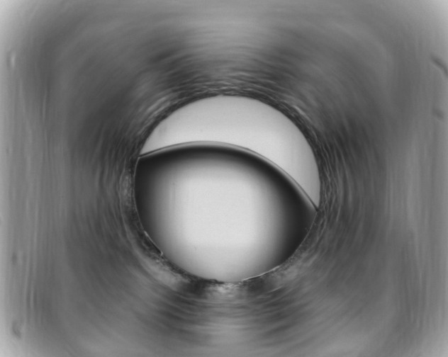X0000095910092200801110837