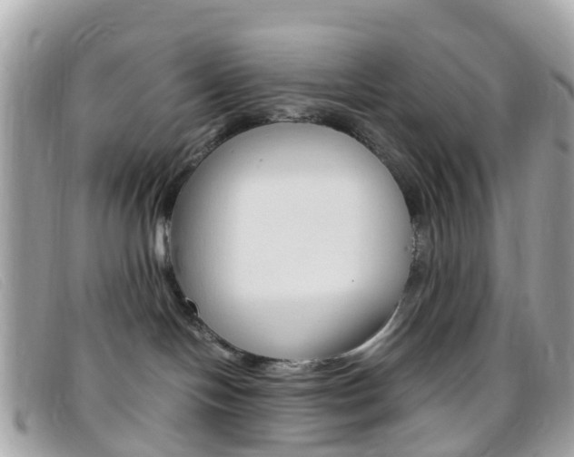 X0000095910094200801110837