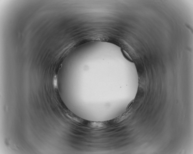X0000095910095200801110837