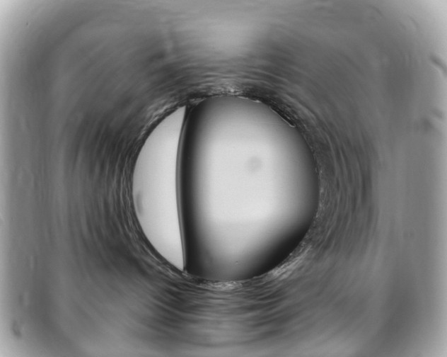 X0000095910096200801110837