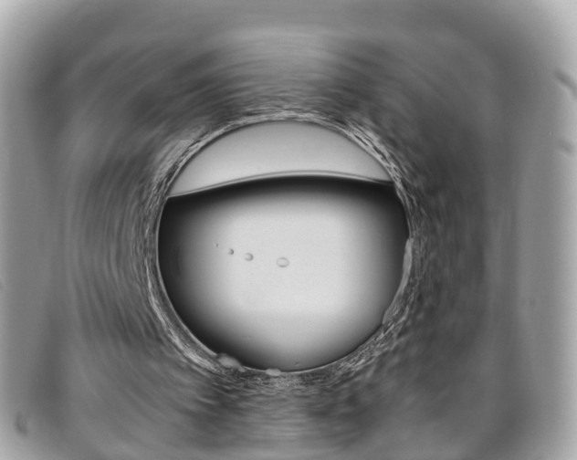 X0000095910097200801110836