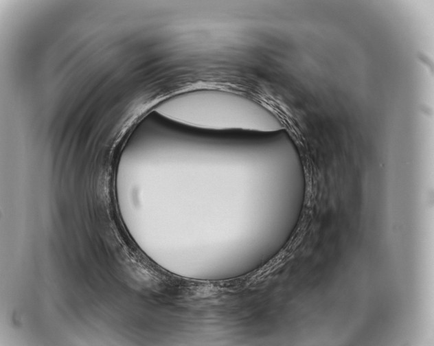 X0000095910098200801110836