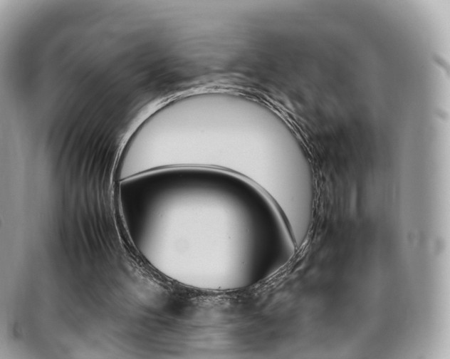 X0000095910100200801110836
