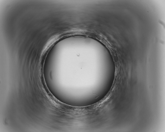 X0000095910101200801110836