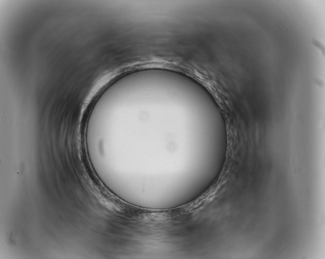 X0000095910102200801110836