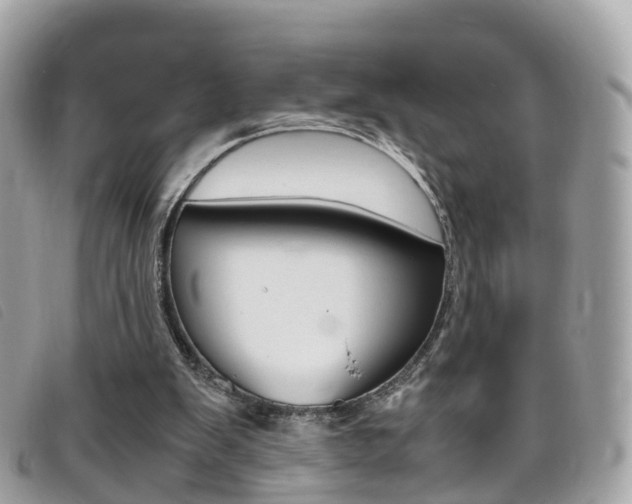 X0000095910103200801110836