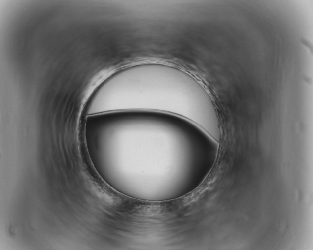 X0000095910104200801110836