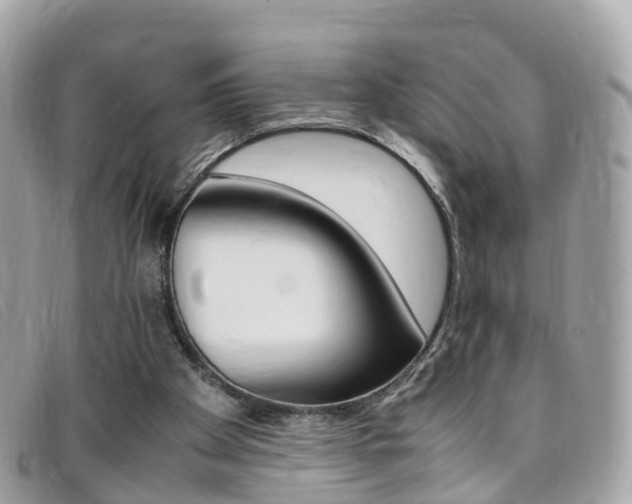X0000095910105200801110836