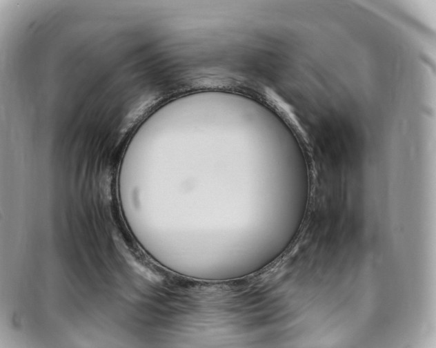 X0000095910106200801110836