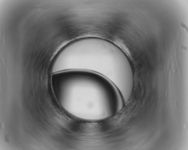 X0000095910108200801110836