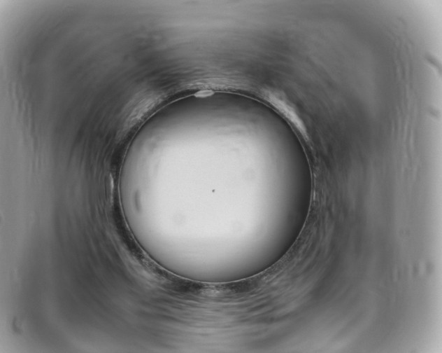 X0000095910109200801110836