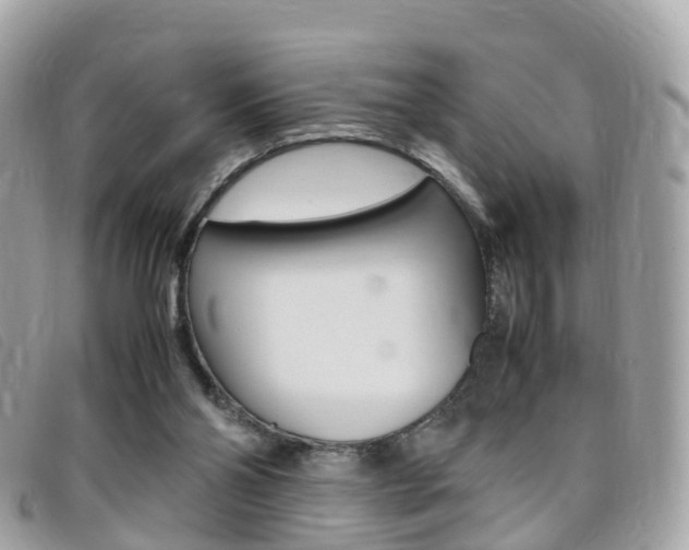 X0000095910110200801110836