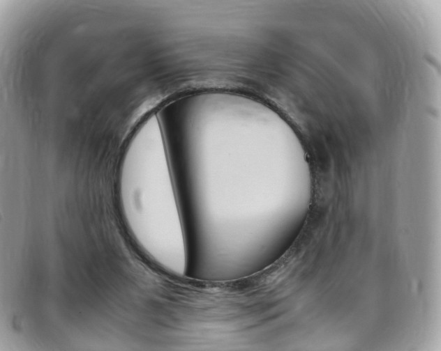 X0000095910111200801110836