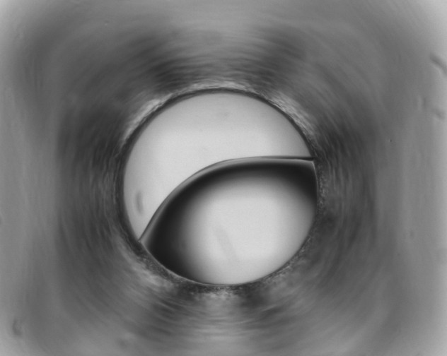 X0000095910112200801110836