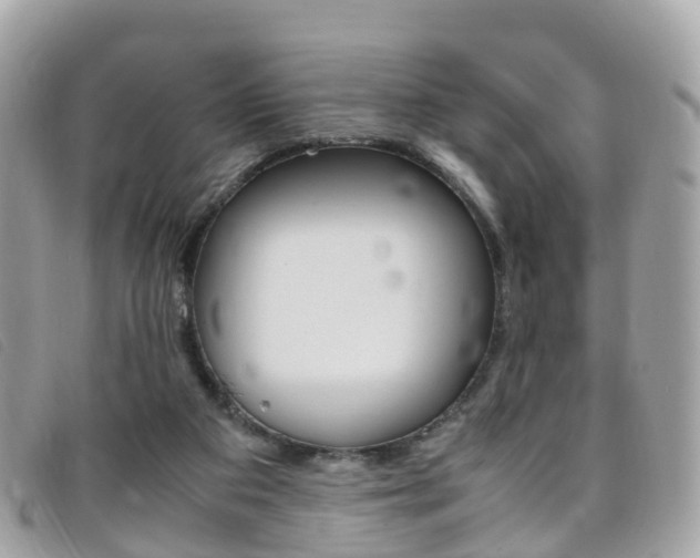 X0000095910113200801110836