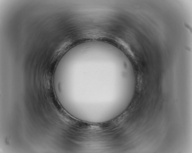 X0000095910114200801110836