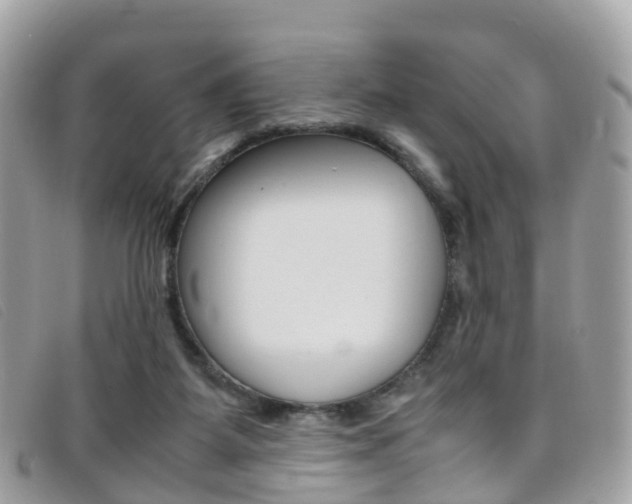 X0000095910115200801110836