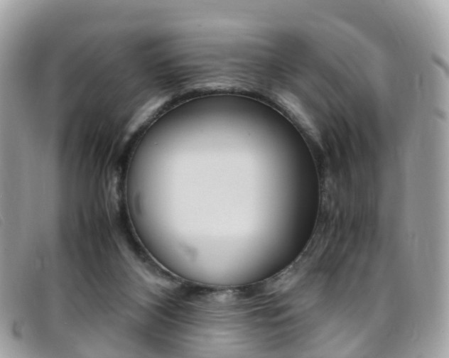 X0000095910116200801110836
